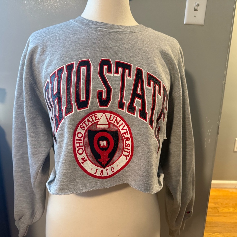 Champion Gray Ohio State University Sweater